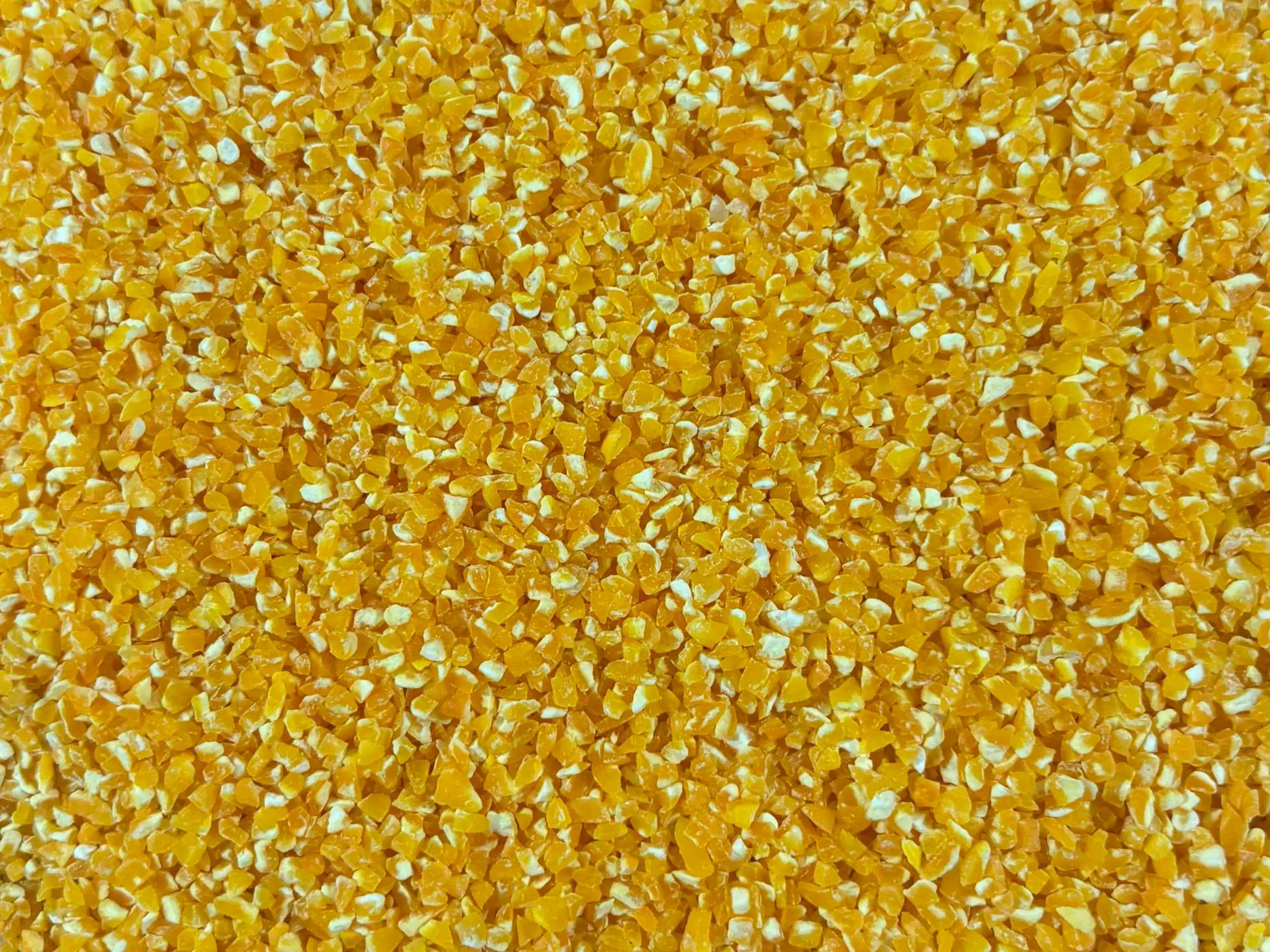 Corn Grits SG-3, Mesh 8